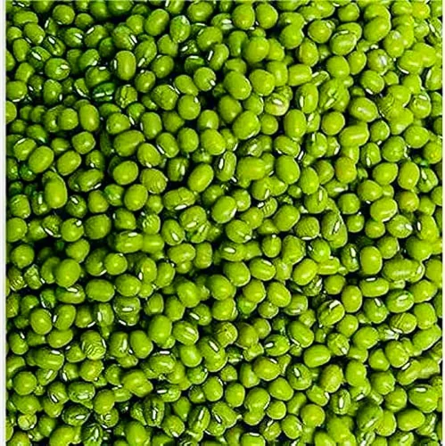 Pulses & grains