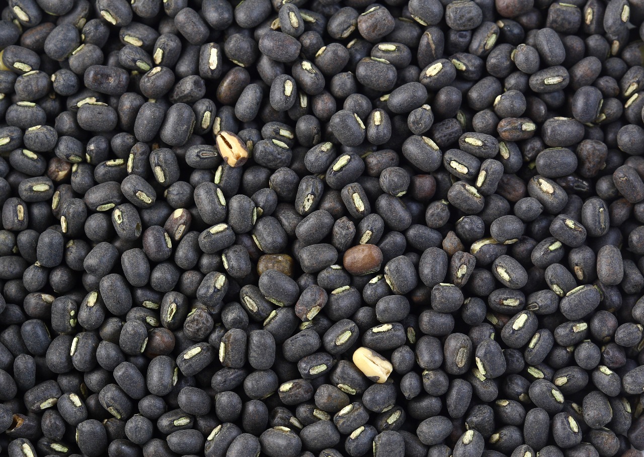 Black Gram Dal